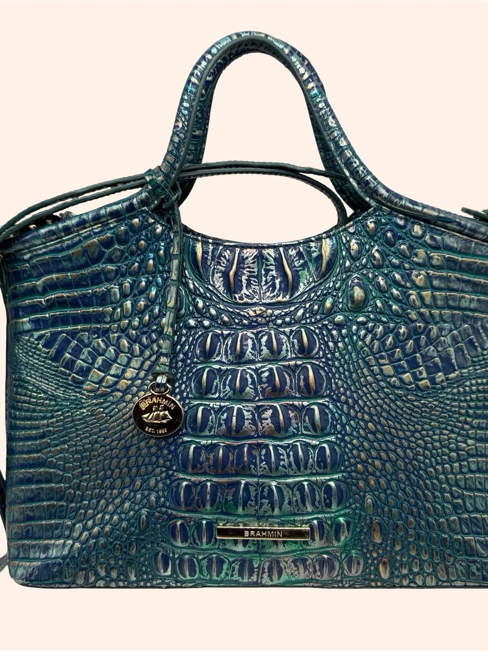 Brahmin small Elaine in Dragon Melbourne